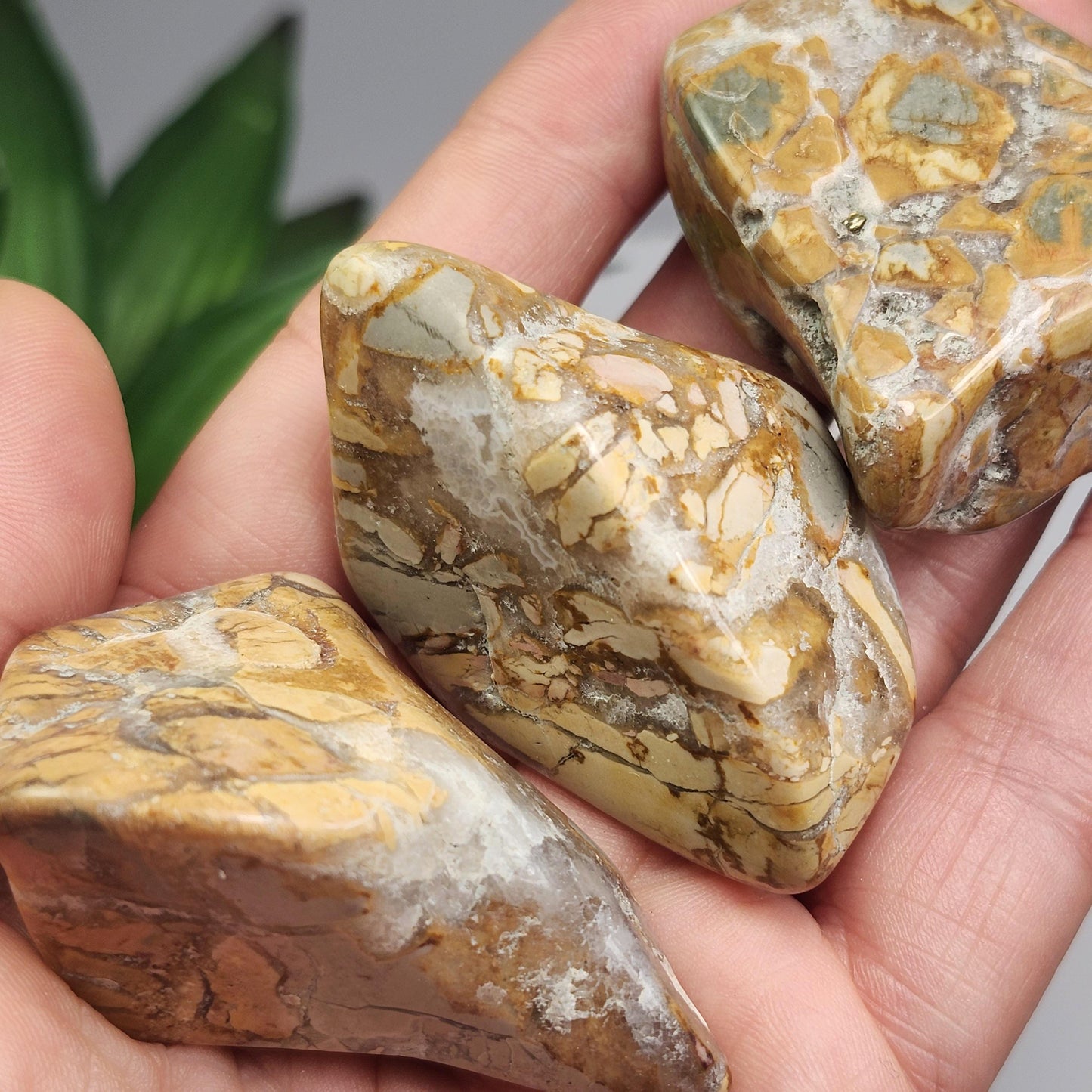 Ibis Jasper Crystal from Madagascar (30