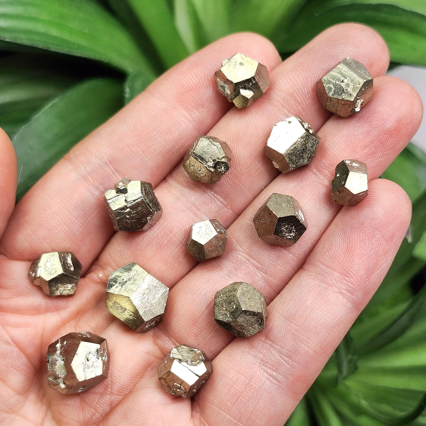 Pyrite Crystal from Spain, Raw Fool's Gold Specimen