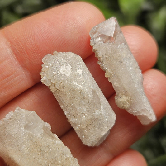 Sugar Danburite Crystal Specimen: Raw Mexican Danburite with Quartz Druzy