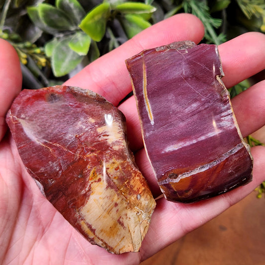 Petrified Wood Crystal, Agatized Wood, Fossilized Wood Specimen