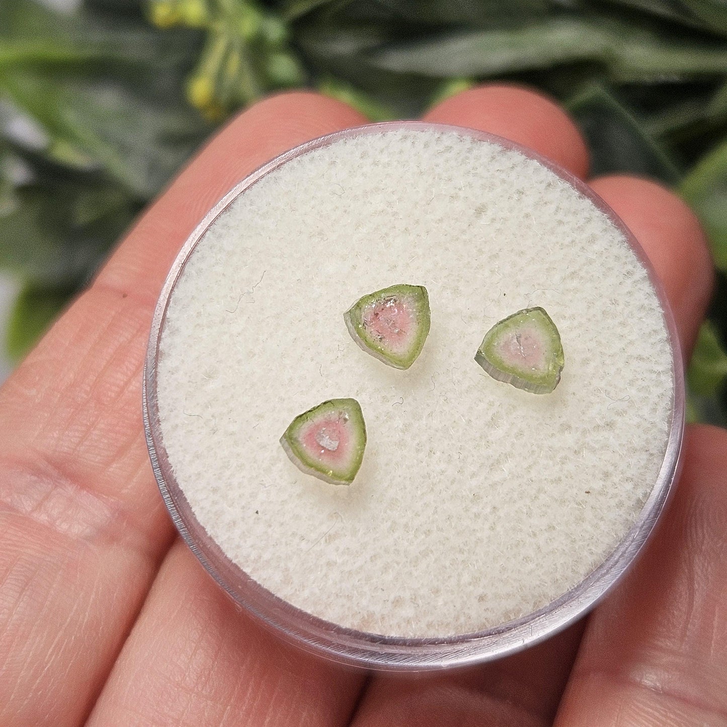 Watermelon Tourmaline Crystal Slice, Natural Polished Specimen (5 to 10mm)