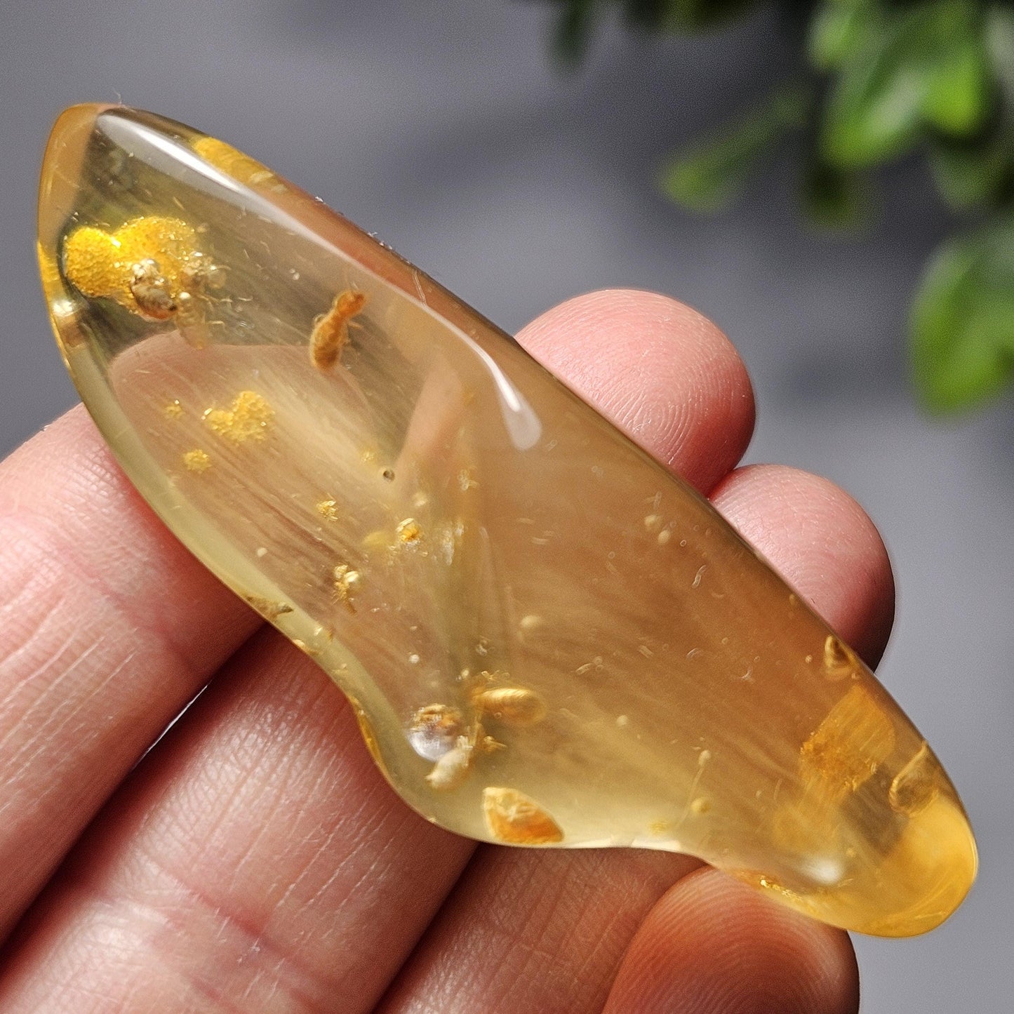 Enhydro Amber with MOVING Bubble & Insect Inclusions, 9.32g