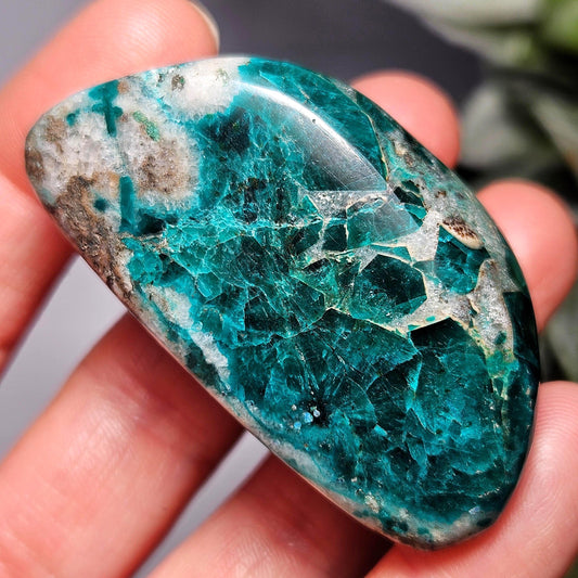Polished Dioptase in Quartz Crystal 50.80g, Congo Dioptase Specimen