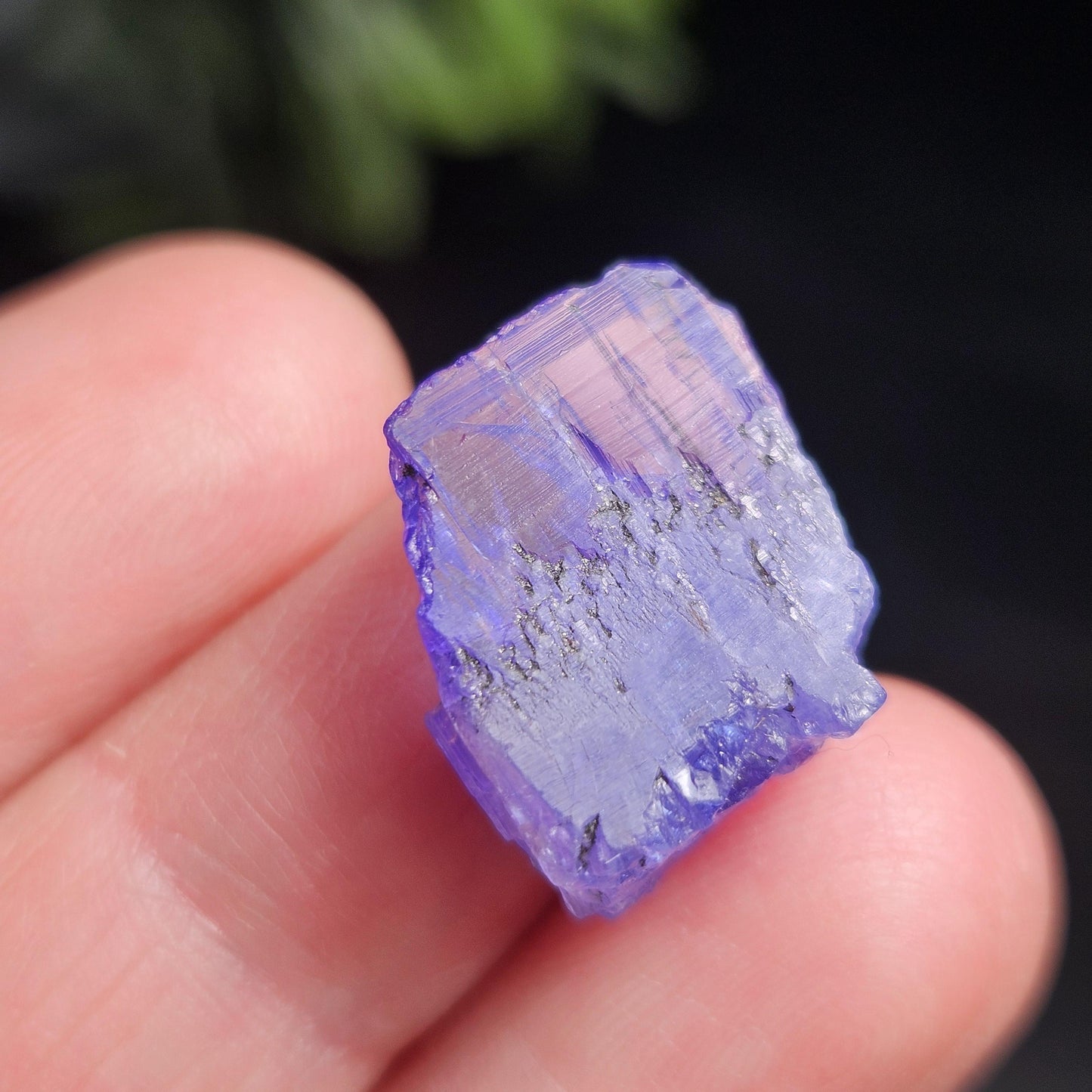 Raw Tanzanite Crystal 3.16g, Raw Indigo Tanzanite, Terminated Specimen