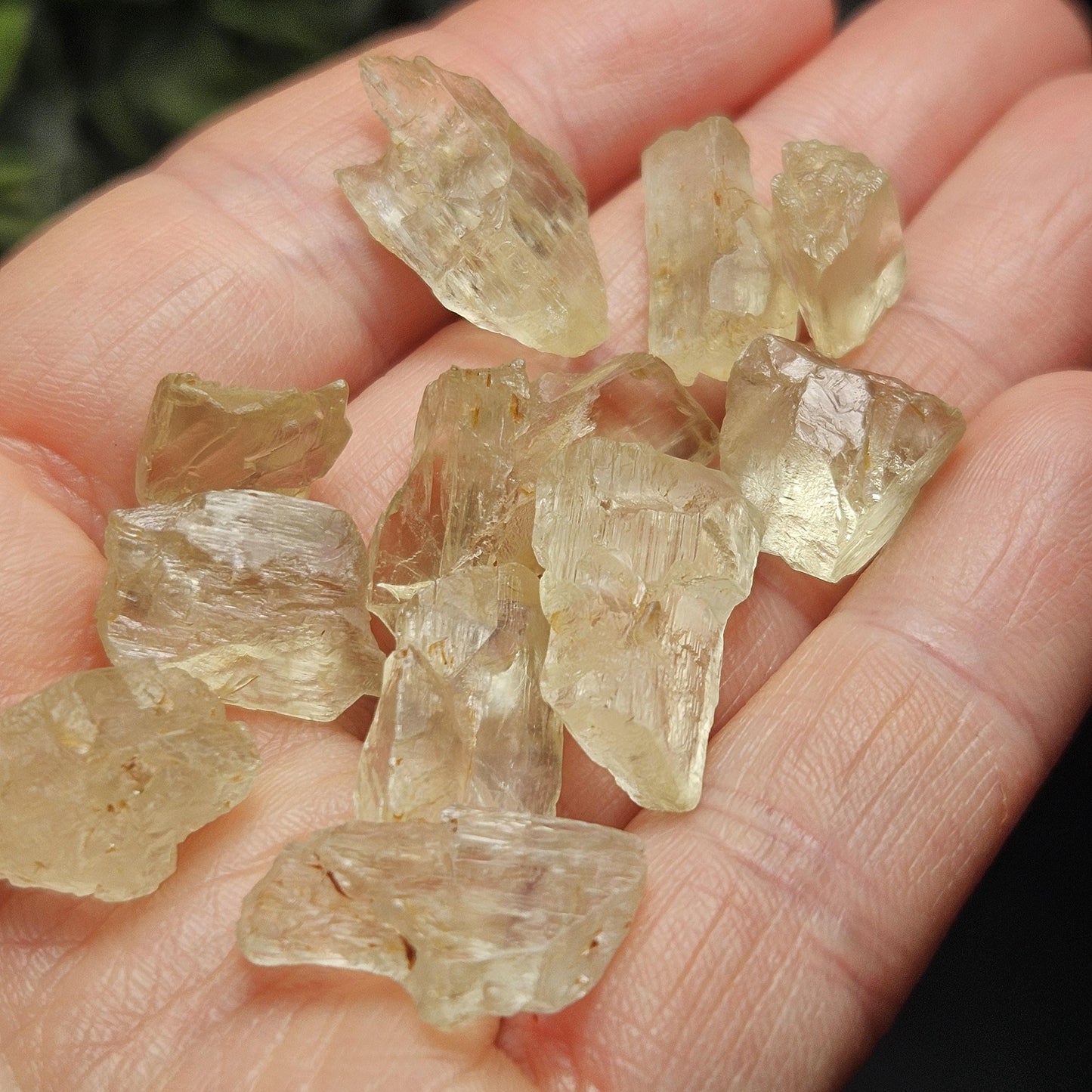 Etched Golden Kunzite Crystal Specimen, Natural Yellow Spodumene
