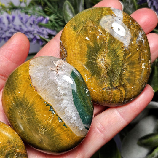 Starburst Ocean Jasper Palm Stone 2"+, Kabamby Madagascar Golden Ocean Jasper Crystal