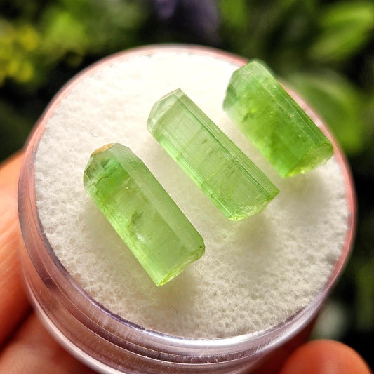 Apple Green Tourmaline Crystal, Terminated Green Gemstone Specimen