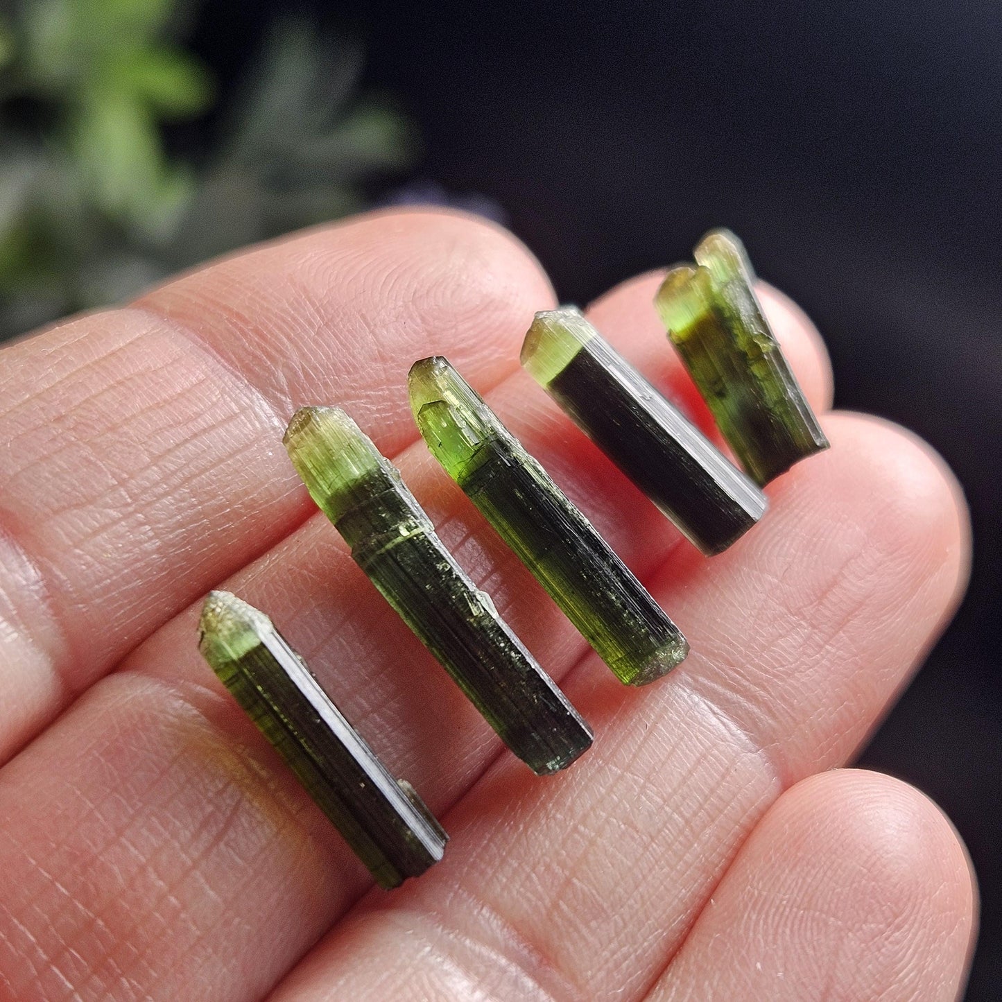 Green Tipped Tourmaline Crystal, Bicolor Green & Black Tourmaline Gemstone Specimen