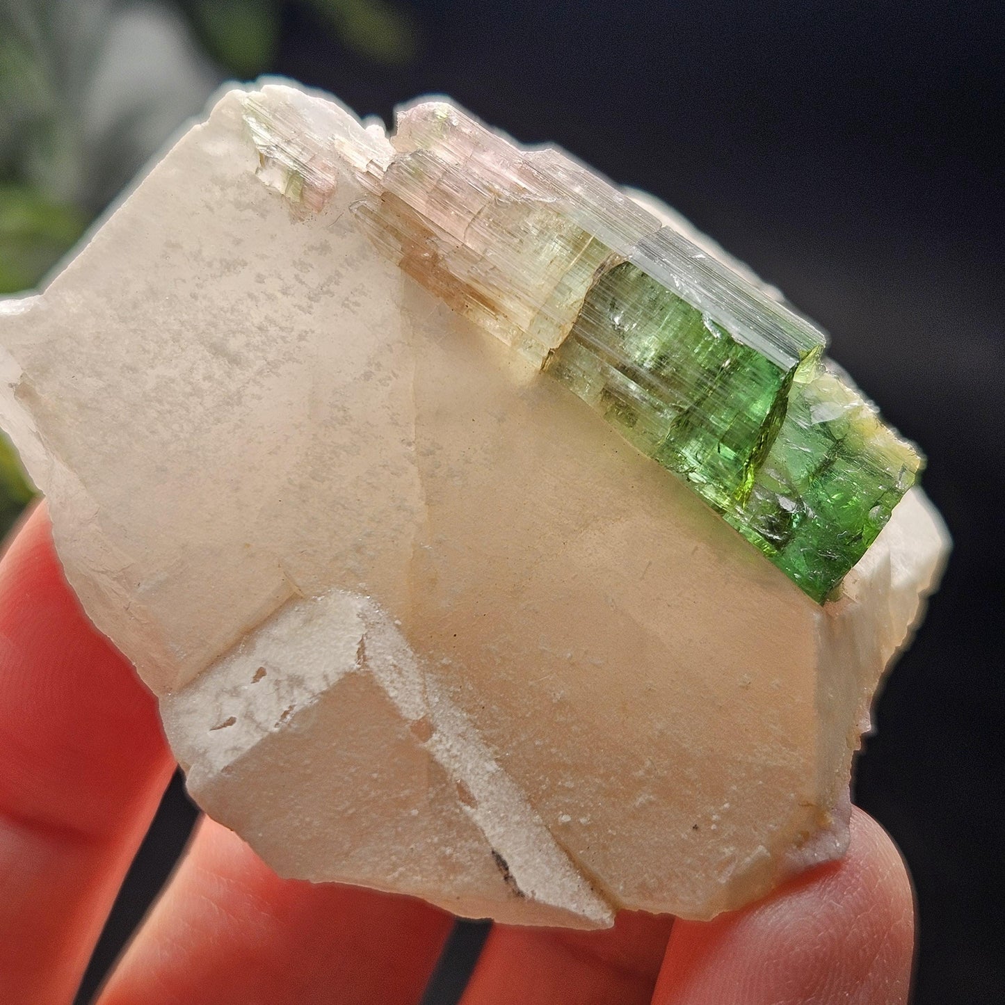 Watermelon Tourmaline on Quartz 53.32g