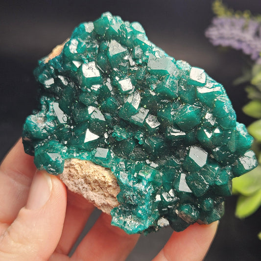 Dioptase Cluster Specimen from Congo 115g