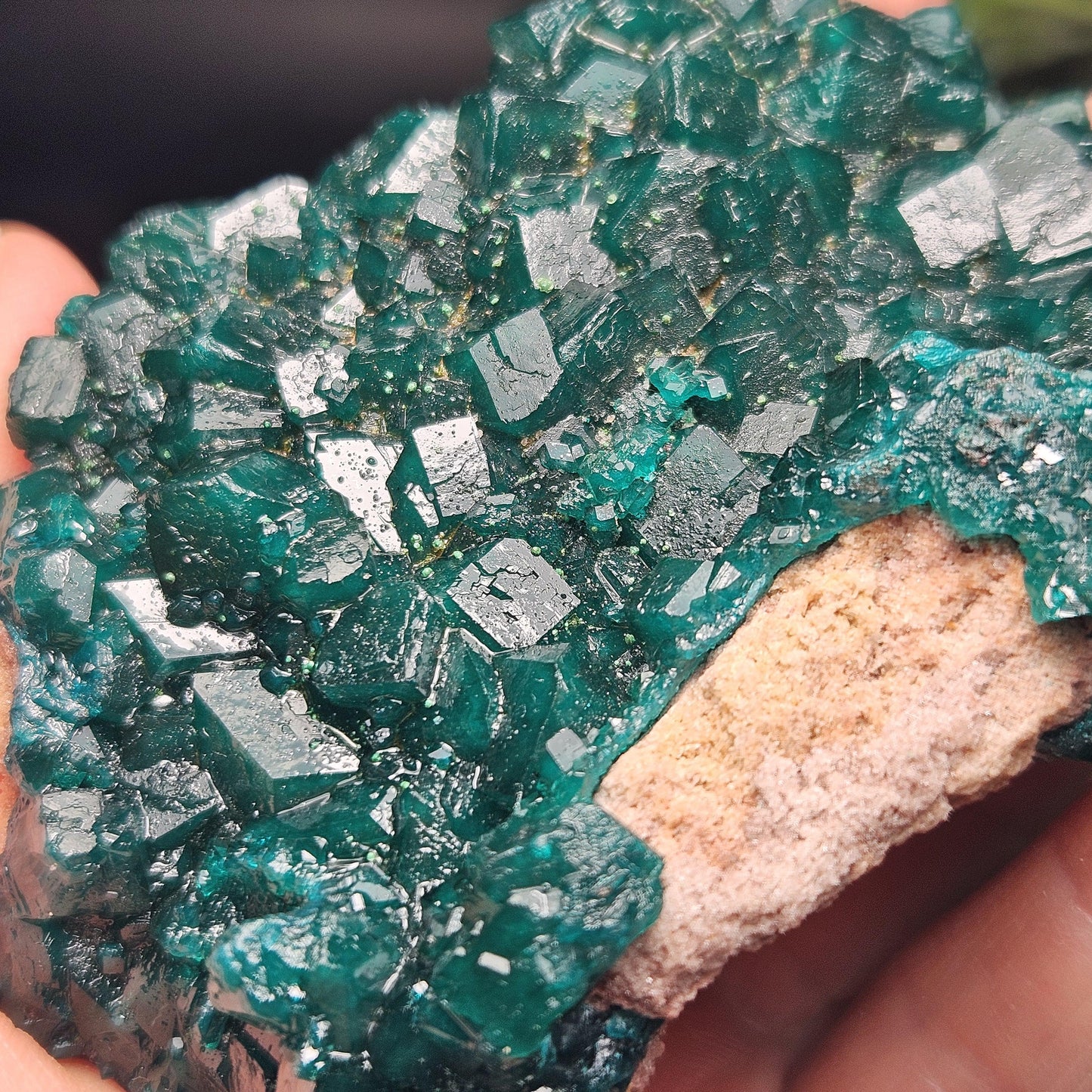 Dioptase Cluster Specimen from Congo 115g