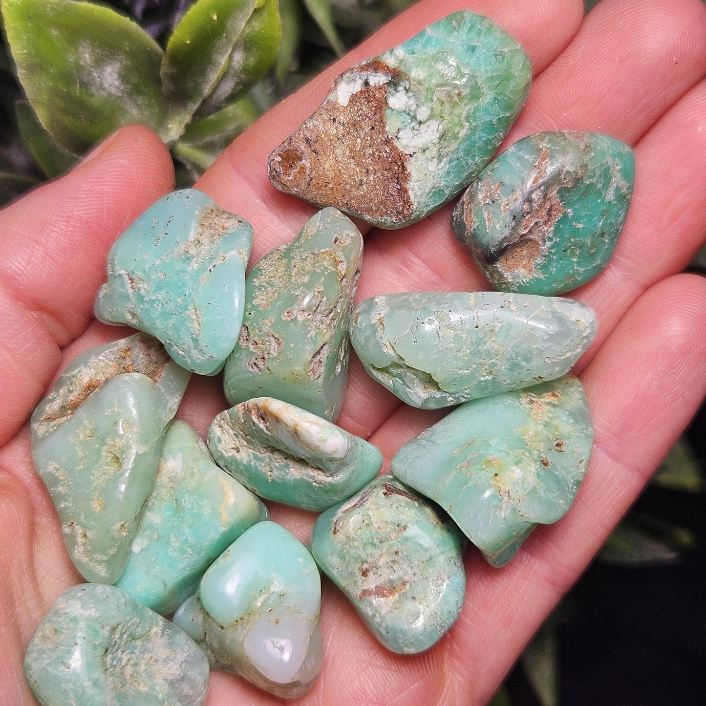 Chrysoprase Tumbled Stone