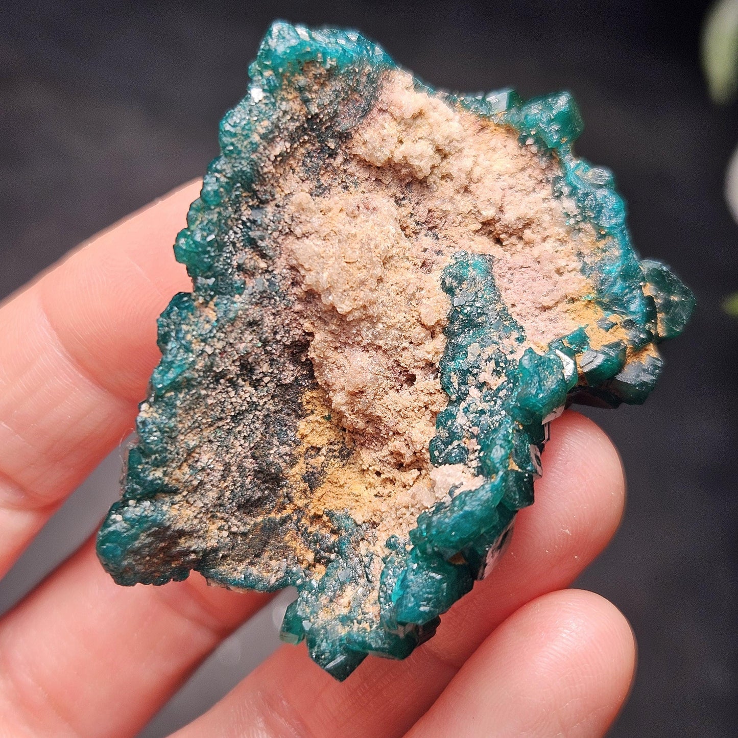 Dioptase Crystal Cluster from Congo 39.69g