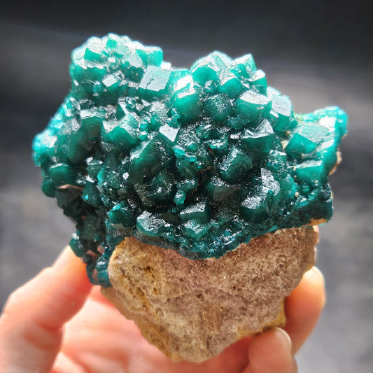 Dioptase Crystal Cluster from Congo 321g