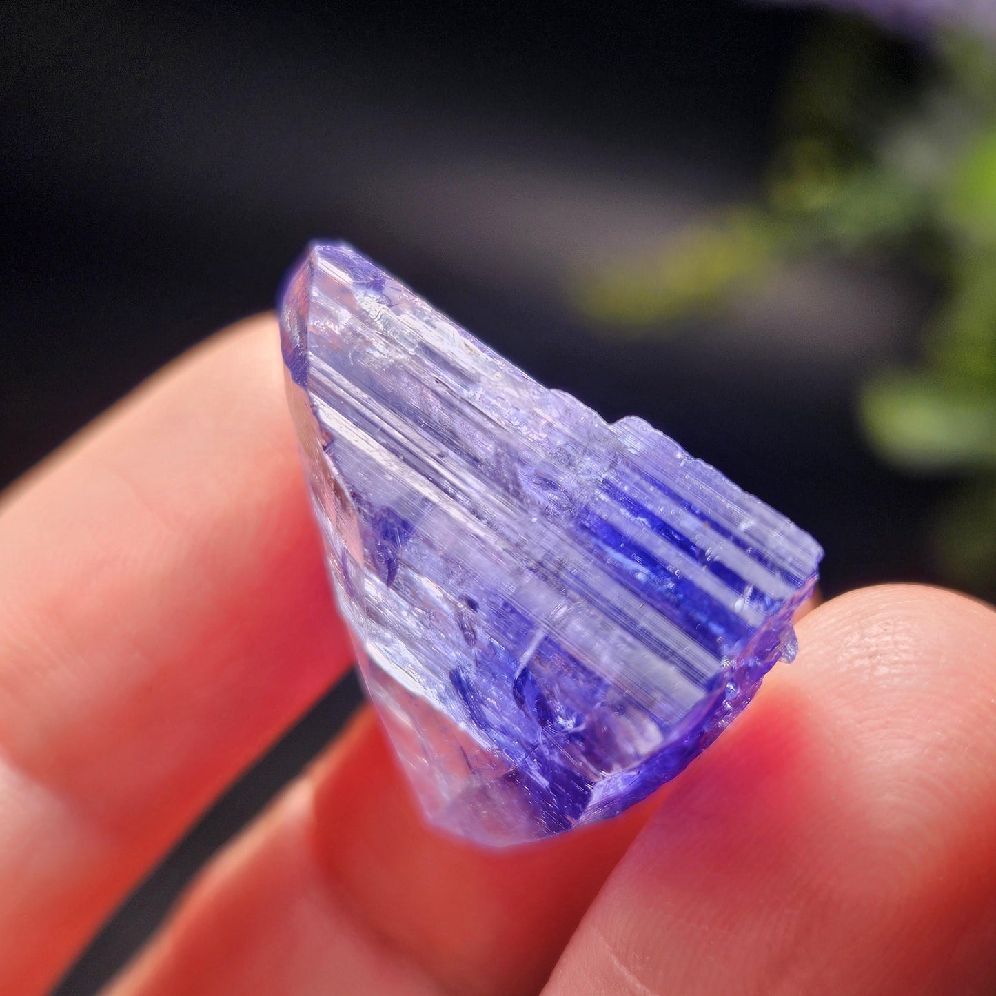 Tanzanite Crystal 6.69g, Bi Colored Raw Tanzanite Stone Specimen