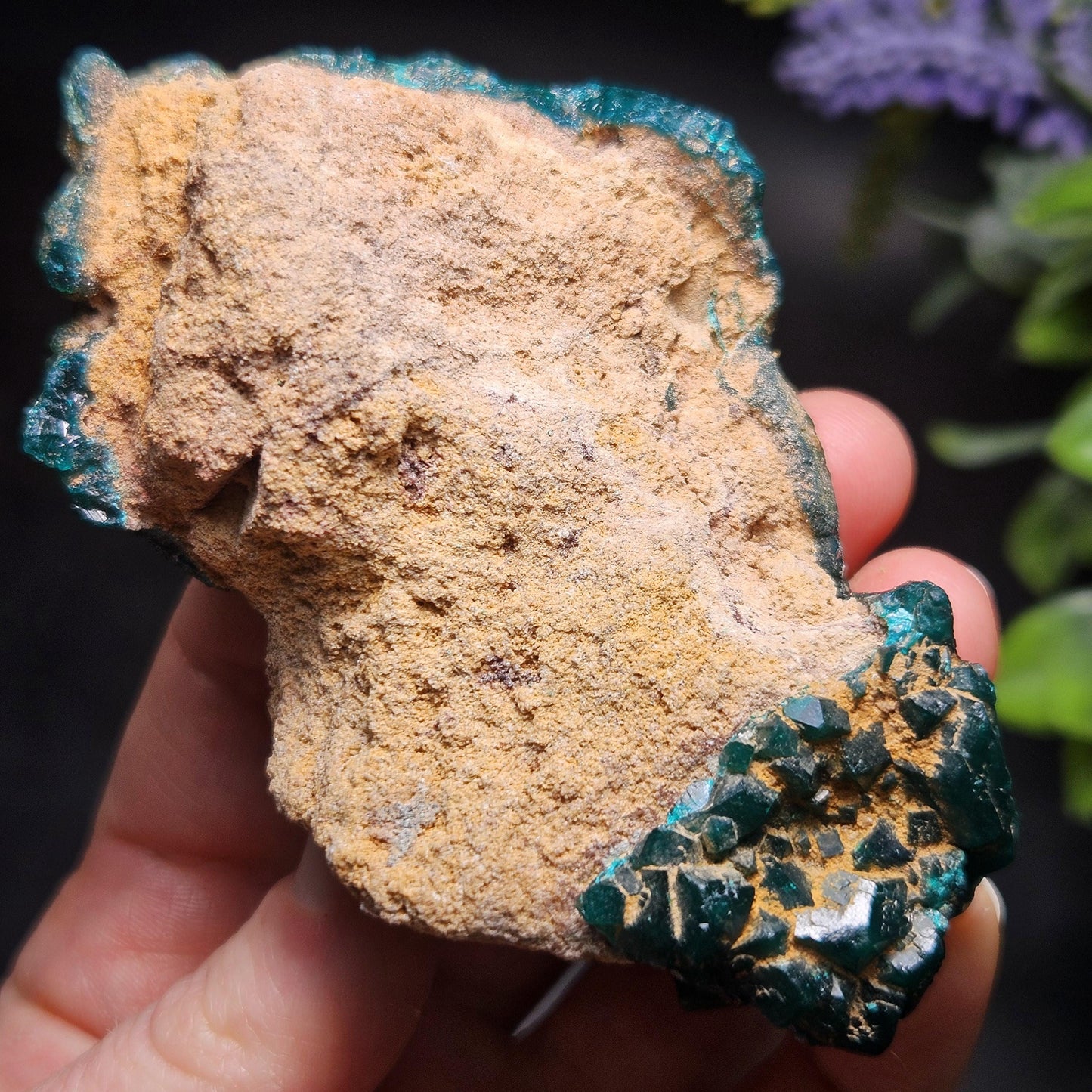 Dioptase Crystal Cluster from Congo 145.35g