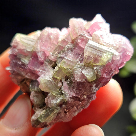 Watermelon Tourmaline Crystal Cluster 41.96g