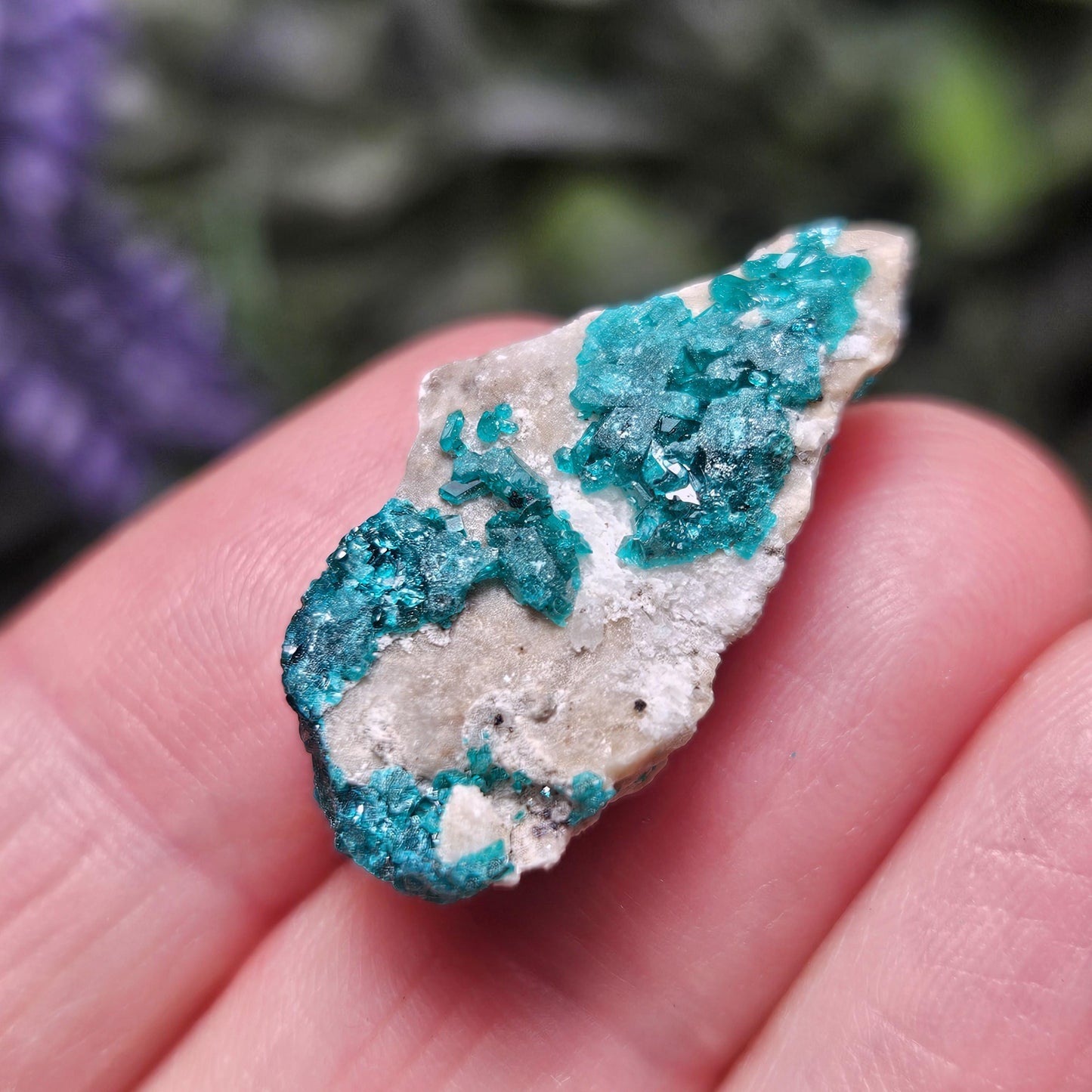 Kazakhstan Dioptase Cluster, RARE Locale