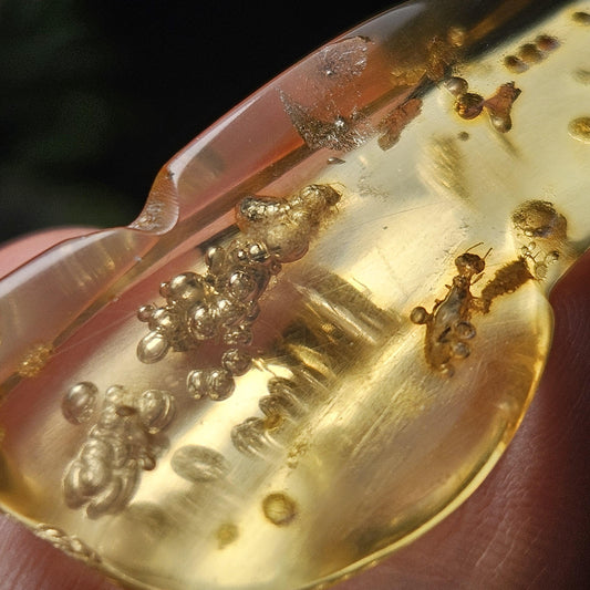 Amber with Bugs & Static Enhydro 6.09g