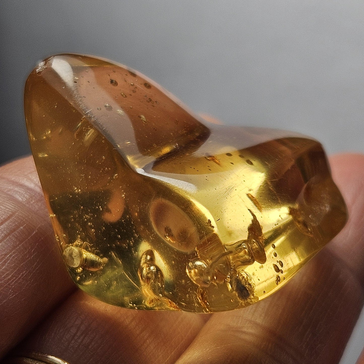 Amber with Bugs & Static ENHYDRO 11.2g, Polished Amber Specimen from Colombia