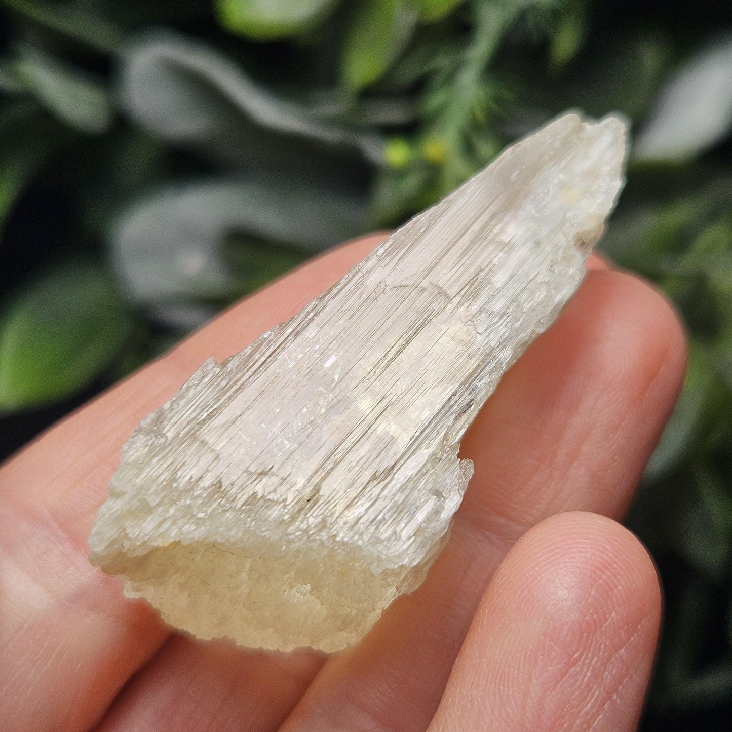 Etched Yellow Kunzite Crystal 25.16g