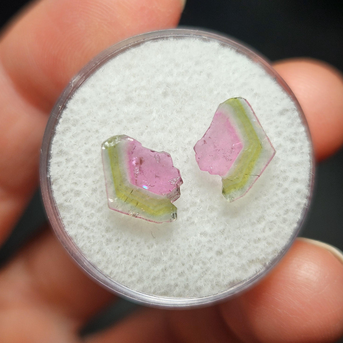 Watermelon Tourmaline Crystal Slice Pair of Specimens (3.7 carats)