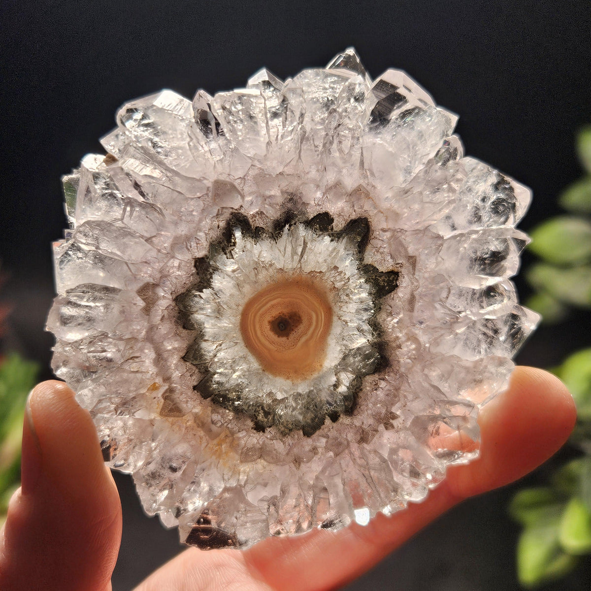 Lavender Amethyst Stalactite Slice with Green Crystal Core (2.5 inches)