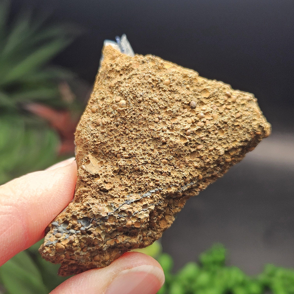 Vivianite Crystal Cluster 20.72g