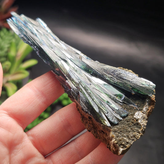 Vivianite Dragon Scale Crystal Specimen 92.41g