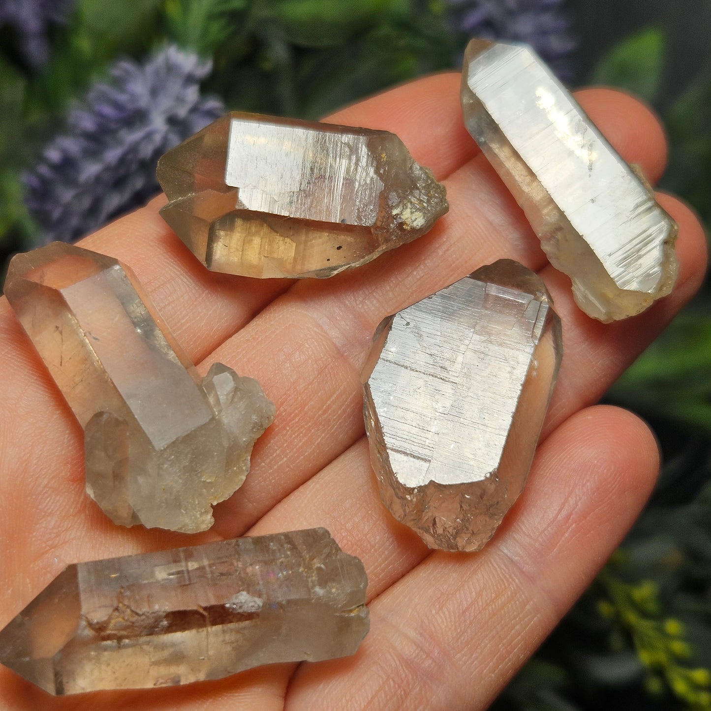 Smoky Lemurian Quartz