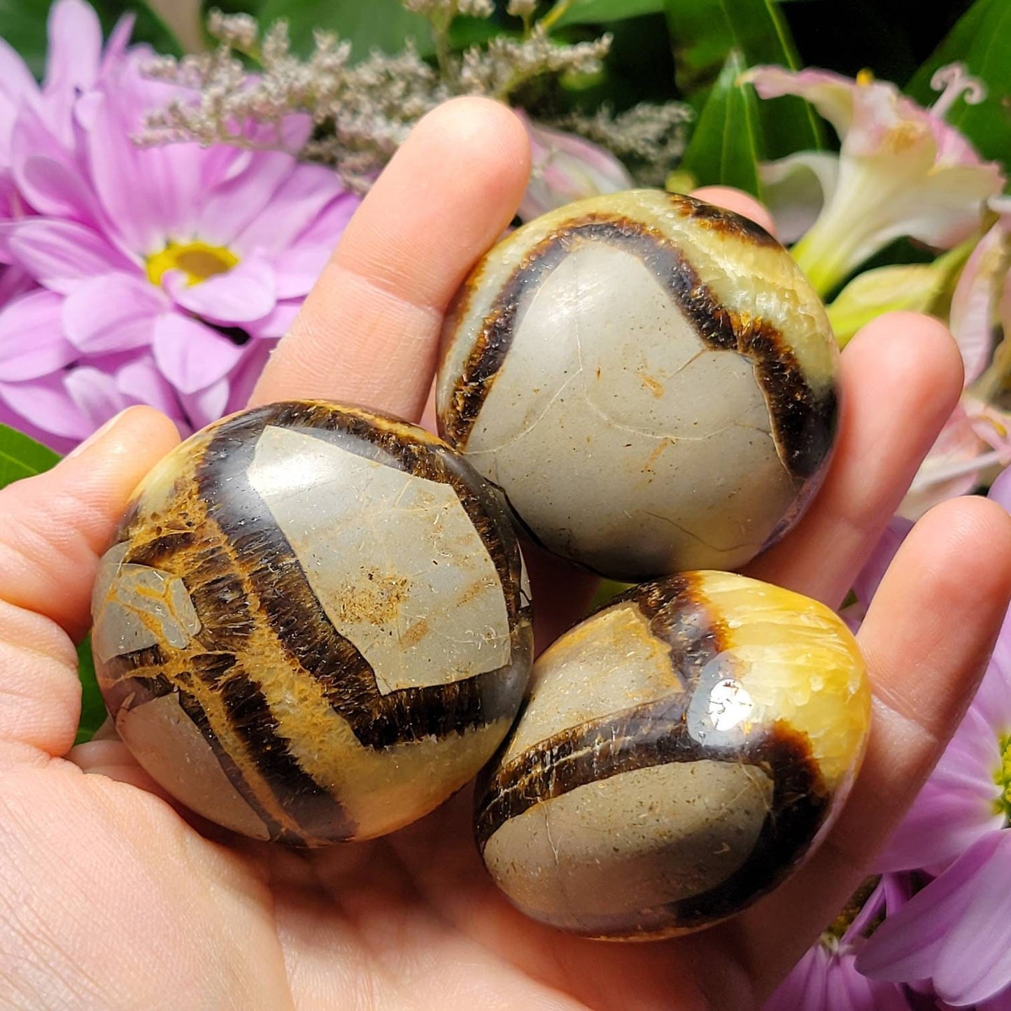 Septarian Geode