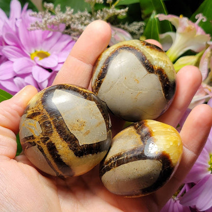 Septarian Geode