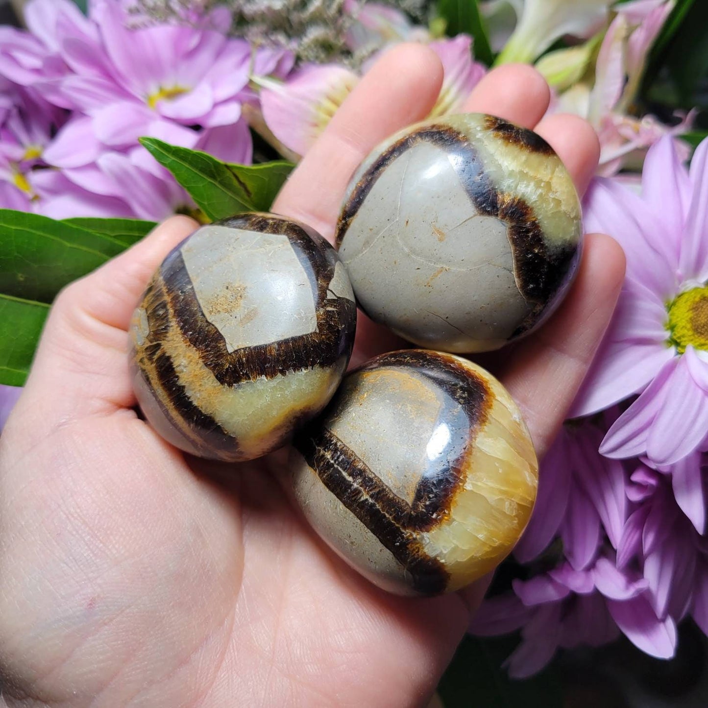 Septarian Geode