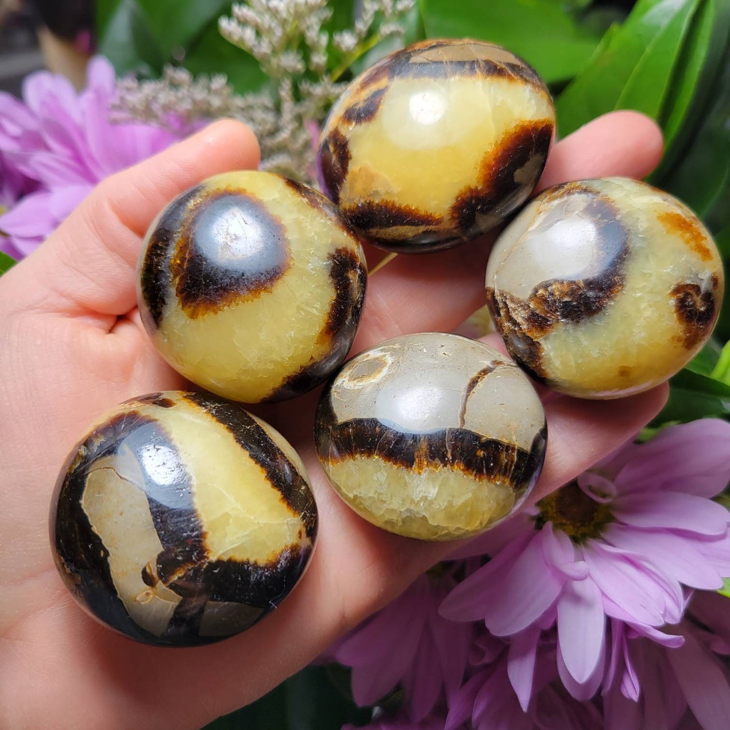 Septarian Geode