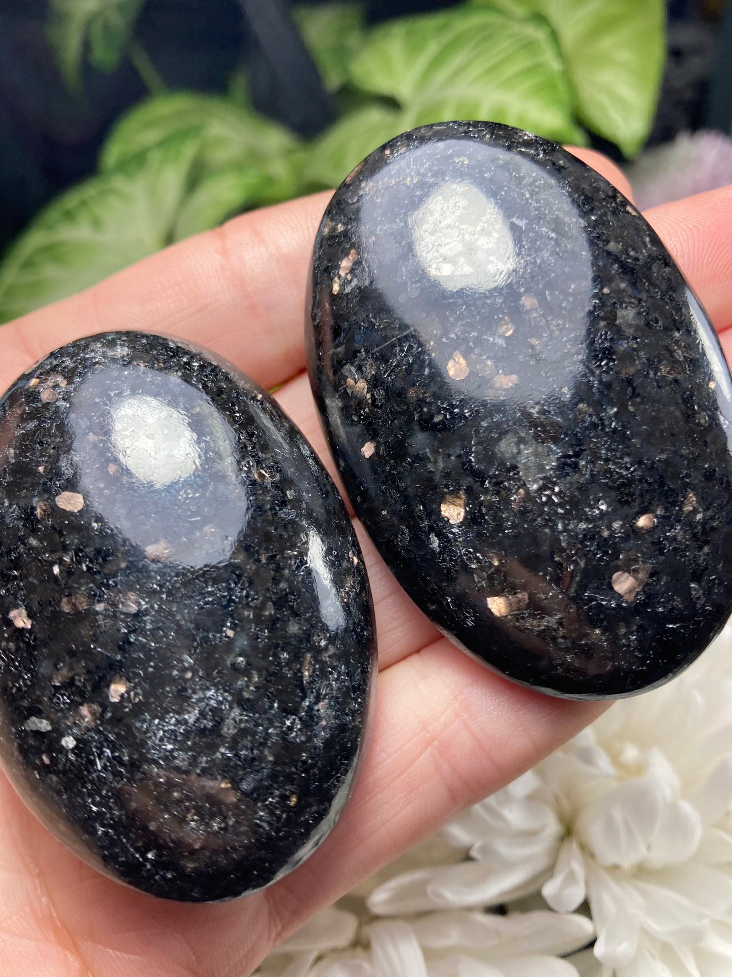 Nuummite Crystal