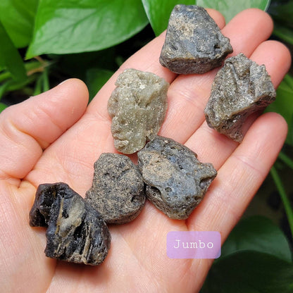 Darwinite Tektite