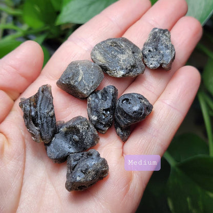 Darwinite Tektite