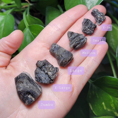 Darwinite Tektite