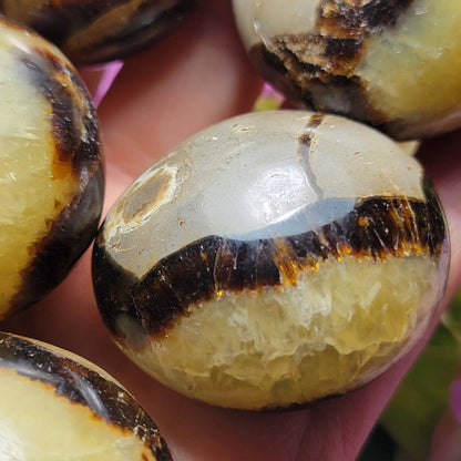 Septarian Geode