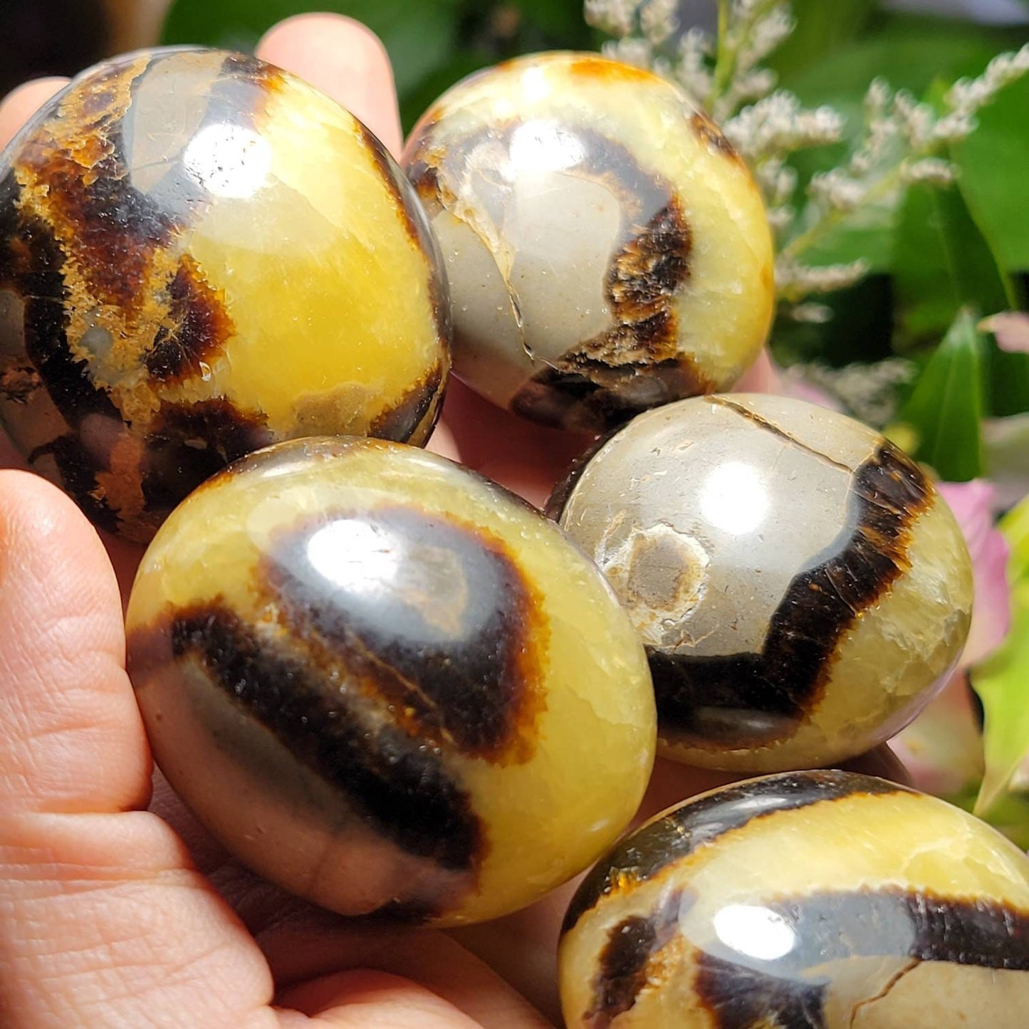 Septarian Geode