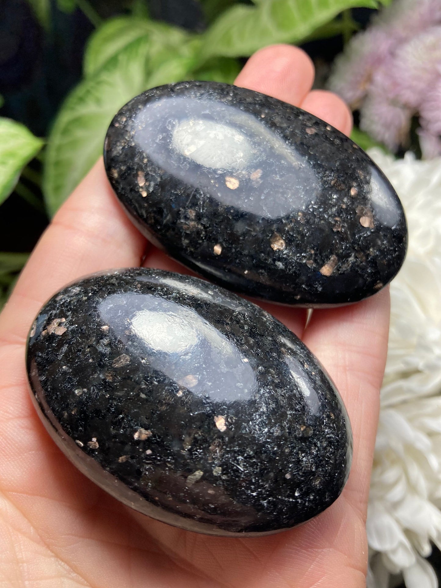 Nuummite Crystal