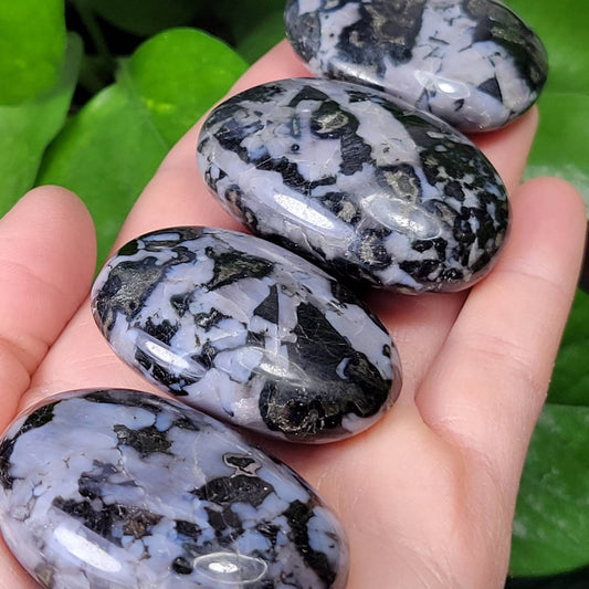 Indigo Gabbro Palm Stone