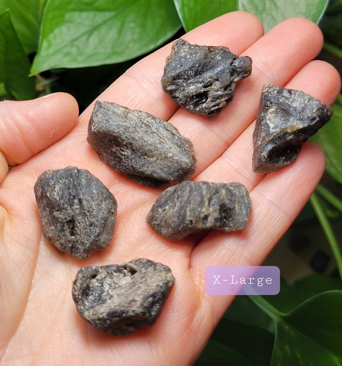 Darwinite Tektite