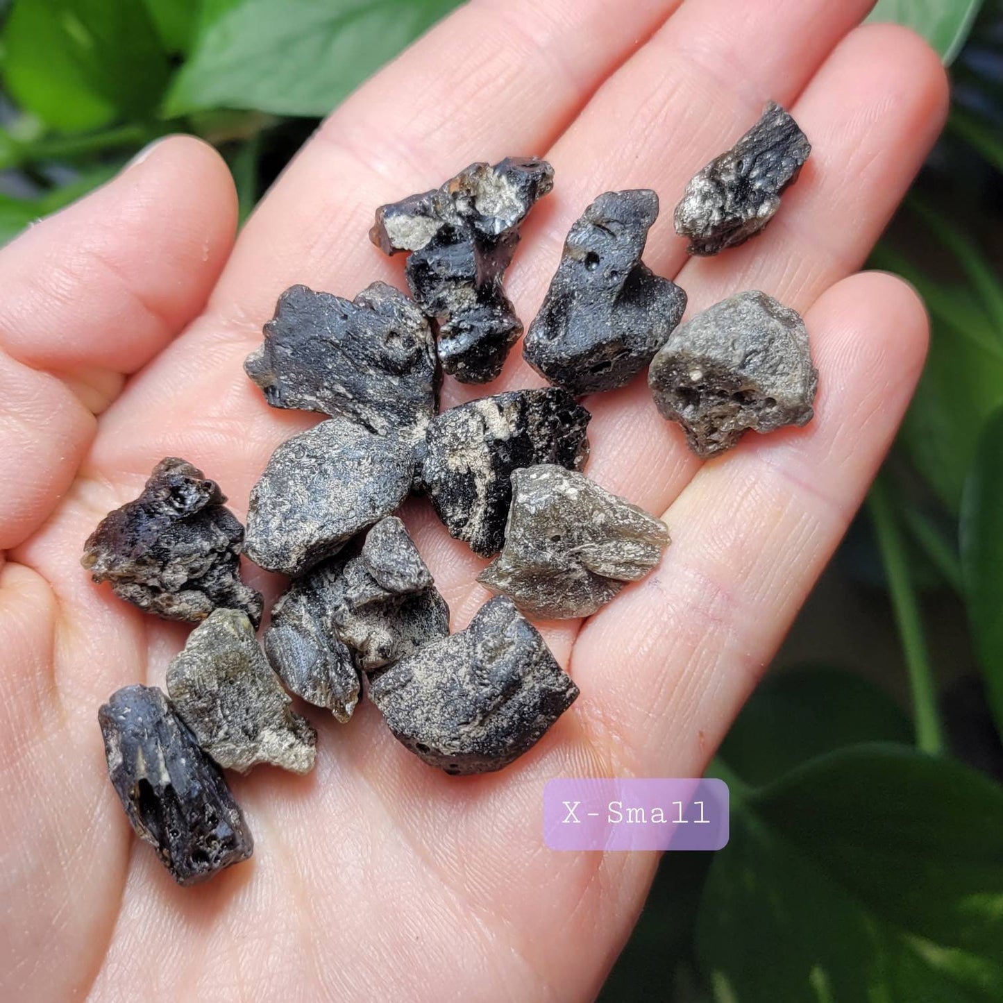 Darwinite Tektite