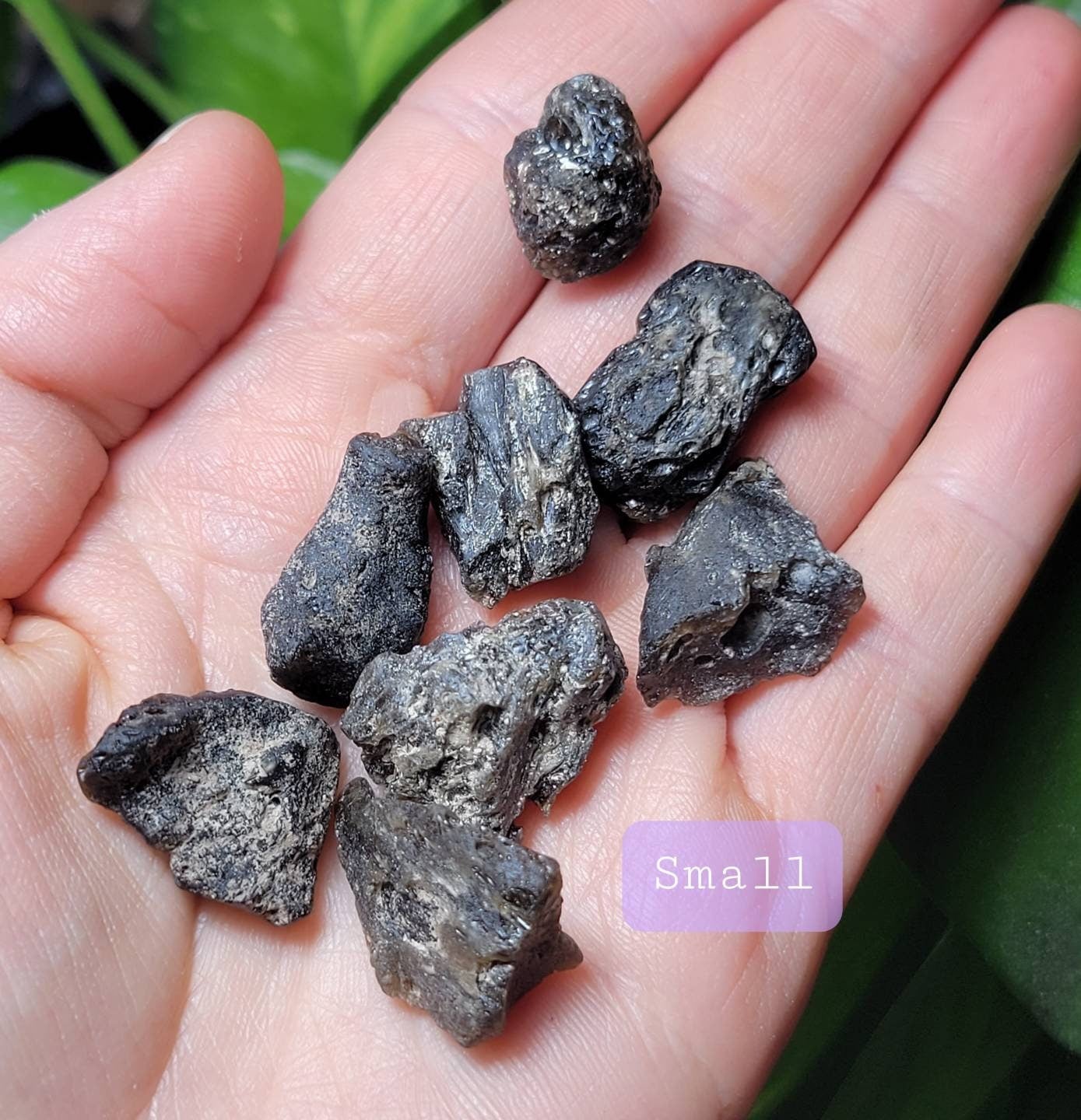 Darwinite Tektite