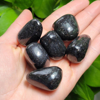 Nuummite Crystal
