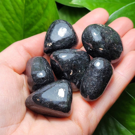 Nuummite Crystal