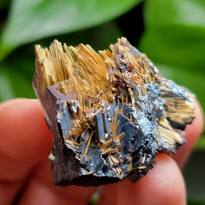 Rutile Star