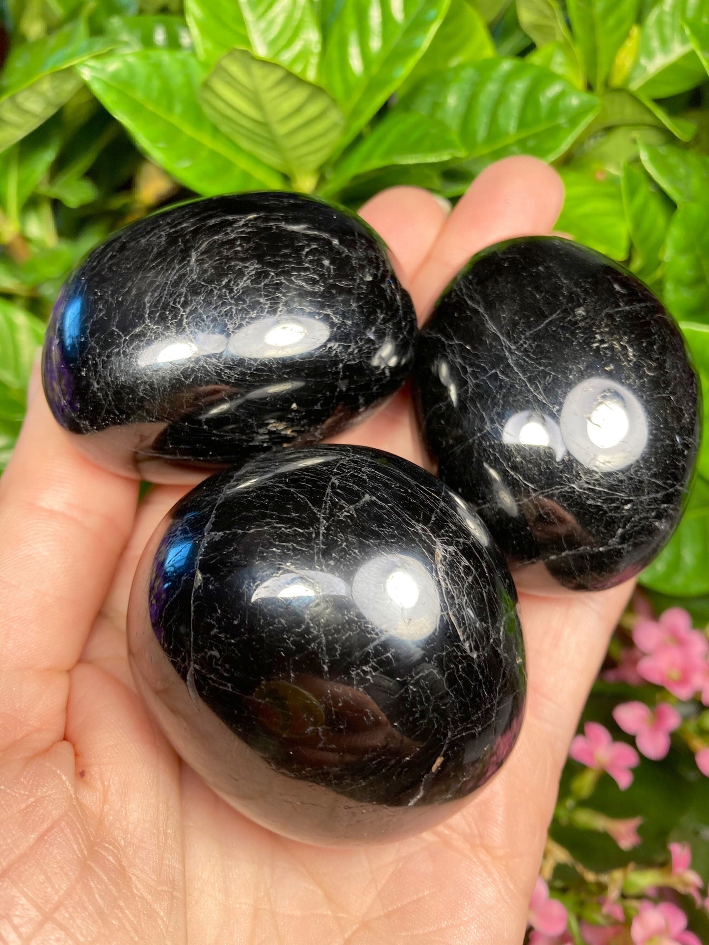 XL Black Tourmaline