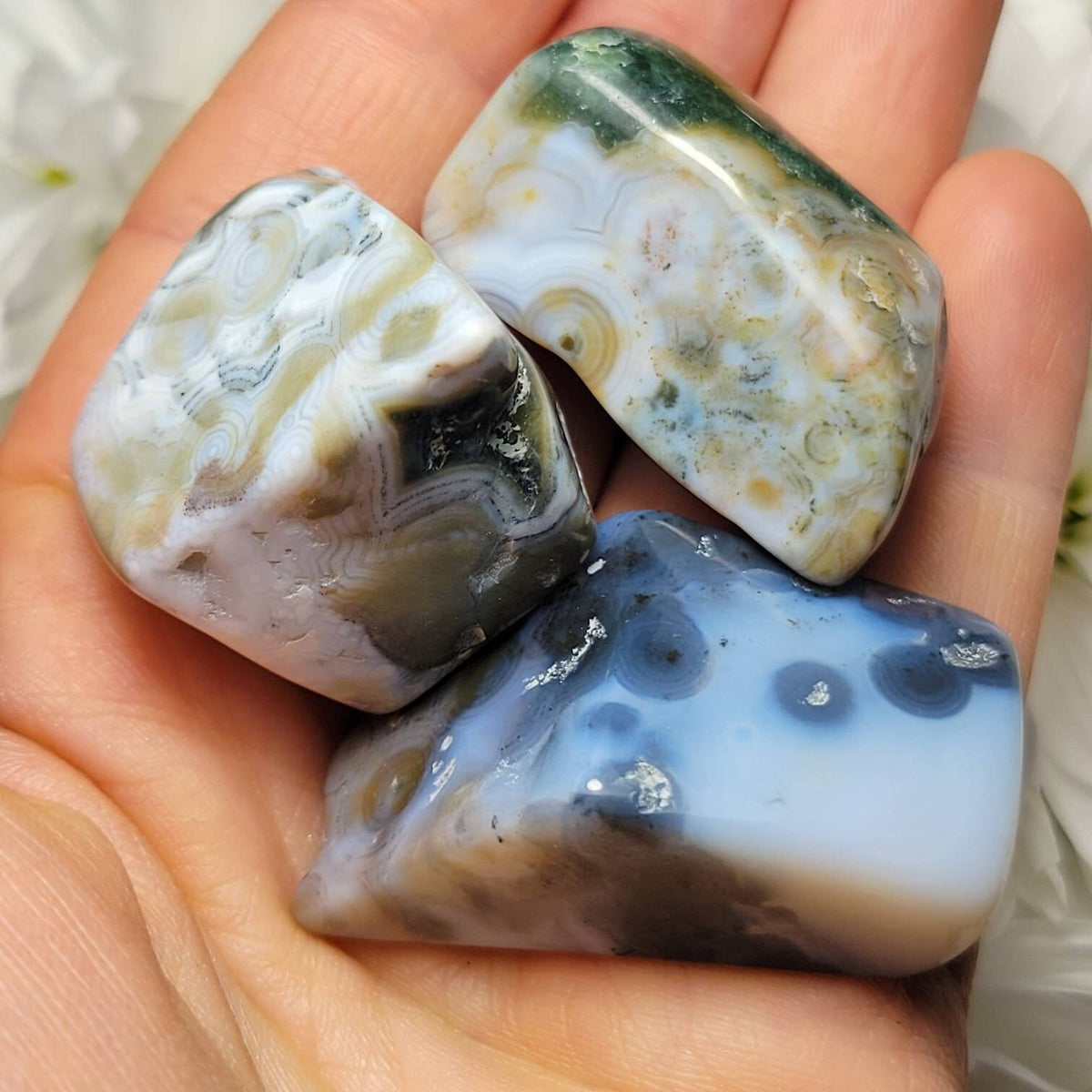 Vein 8 Ocean Jasper RARE